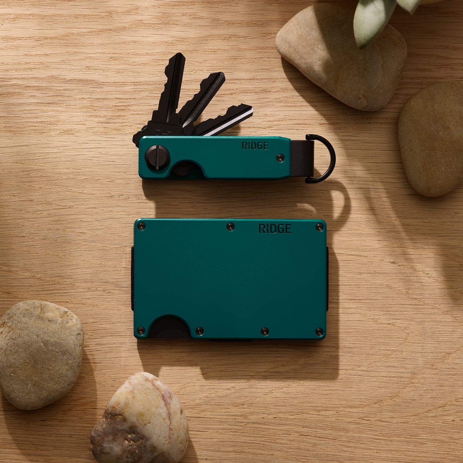 Daily Driver Kit - Desert Pine