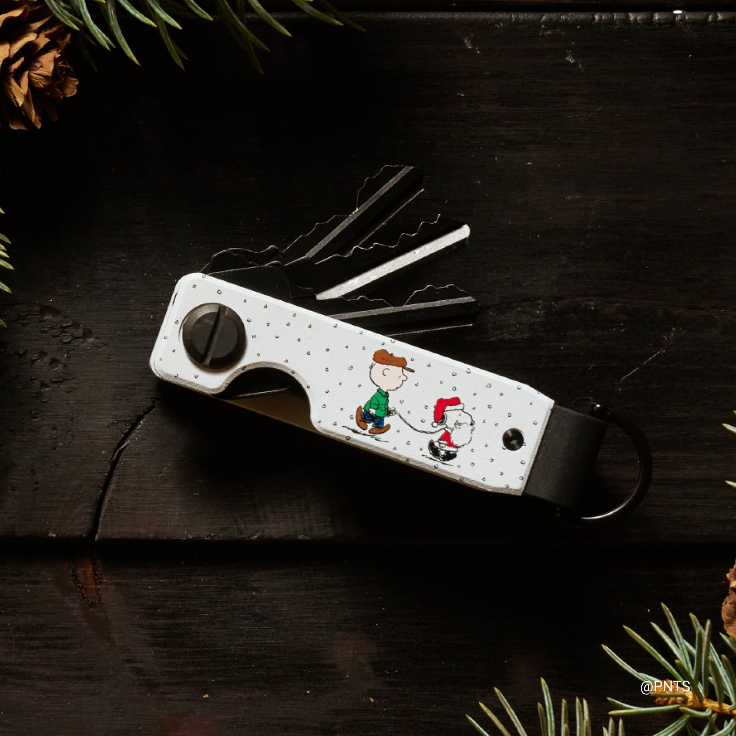 Ridge KeyCase - Peanuts - Dear, Santa...